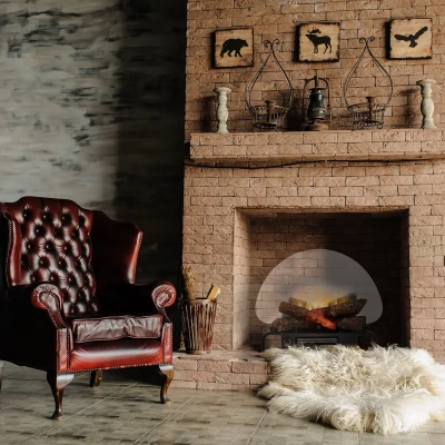 Dimplex Optiflame Logset 20' fritstående dekorativ elpejs indsats til eksisterende pejse